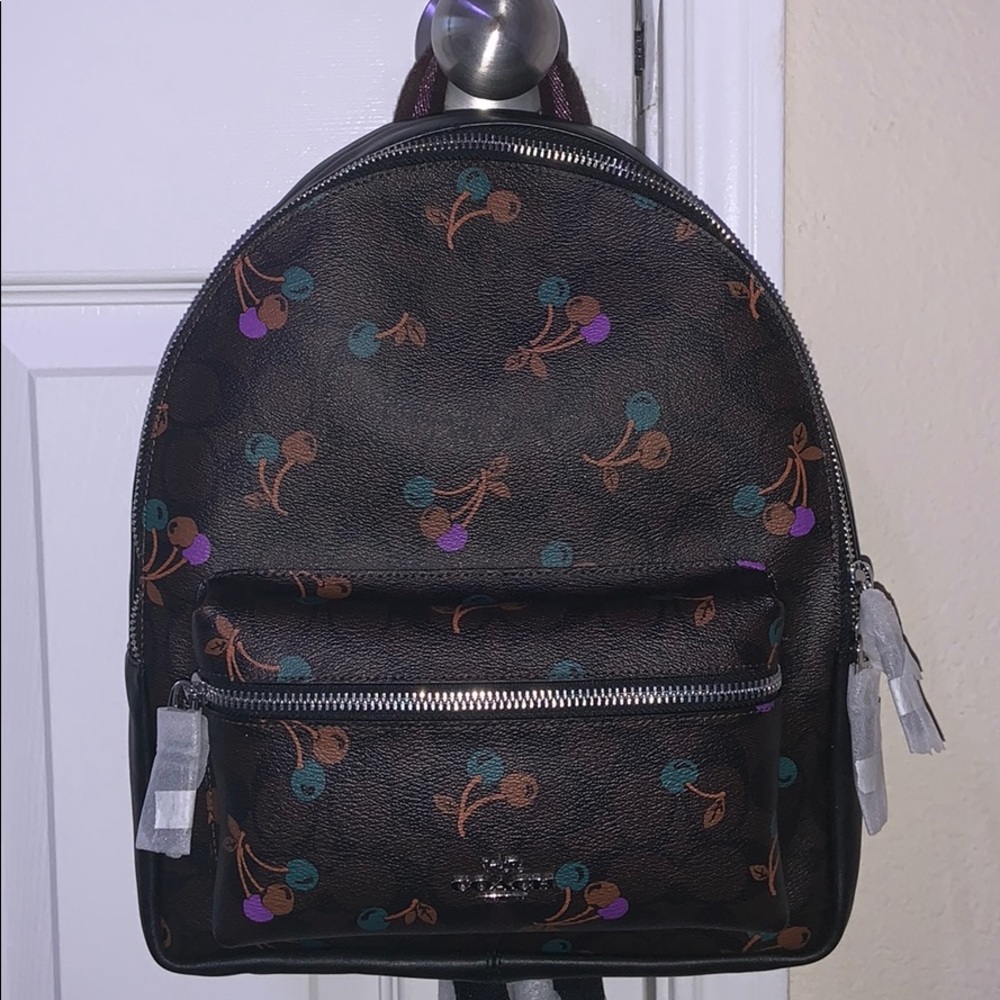 Regular Size Coach Backpack